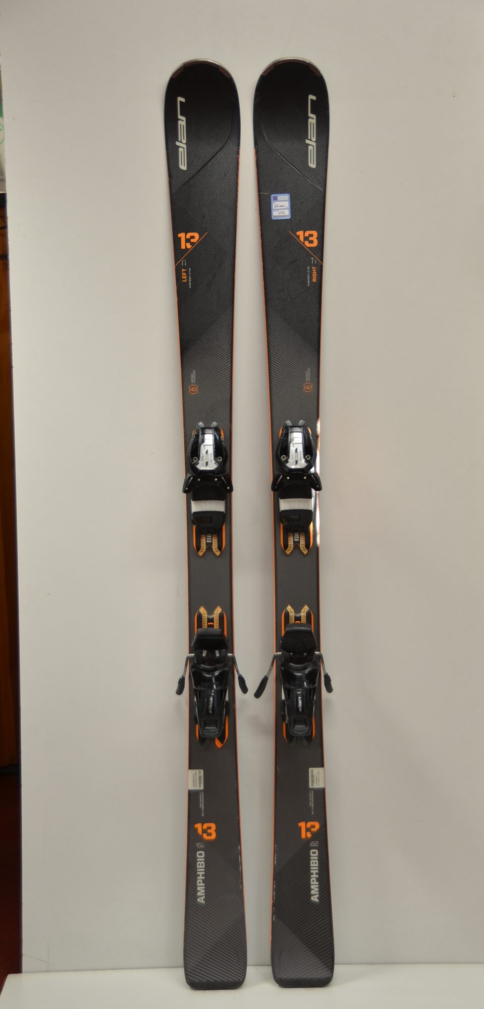 Amphibio 13