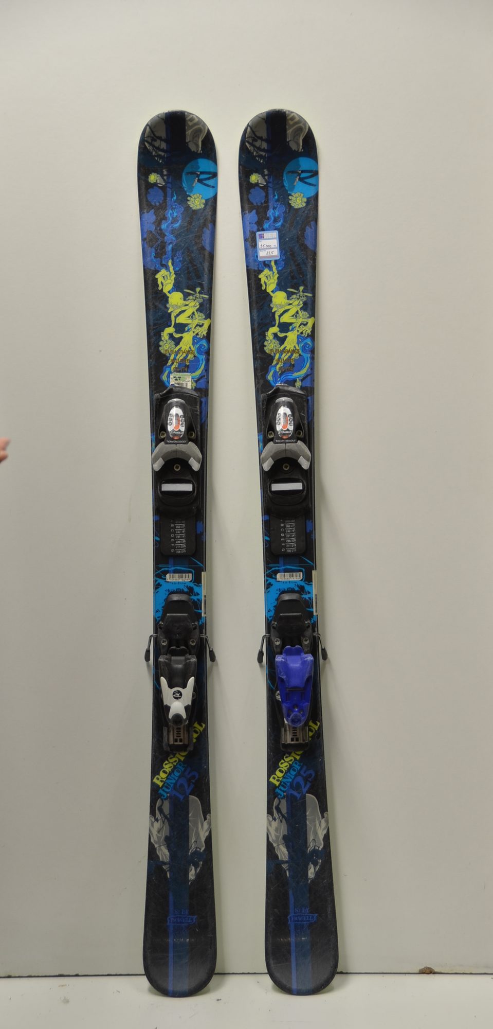 rossignol.jpg