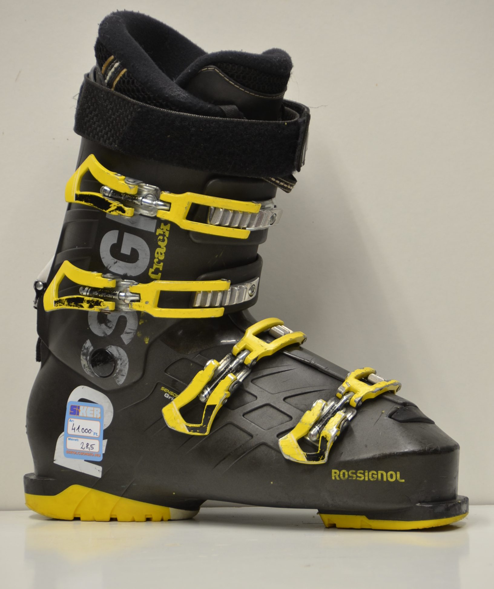 rossignol.jpg